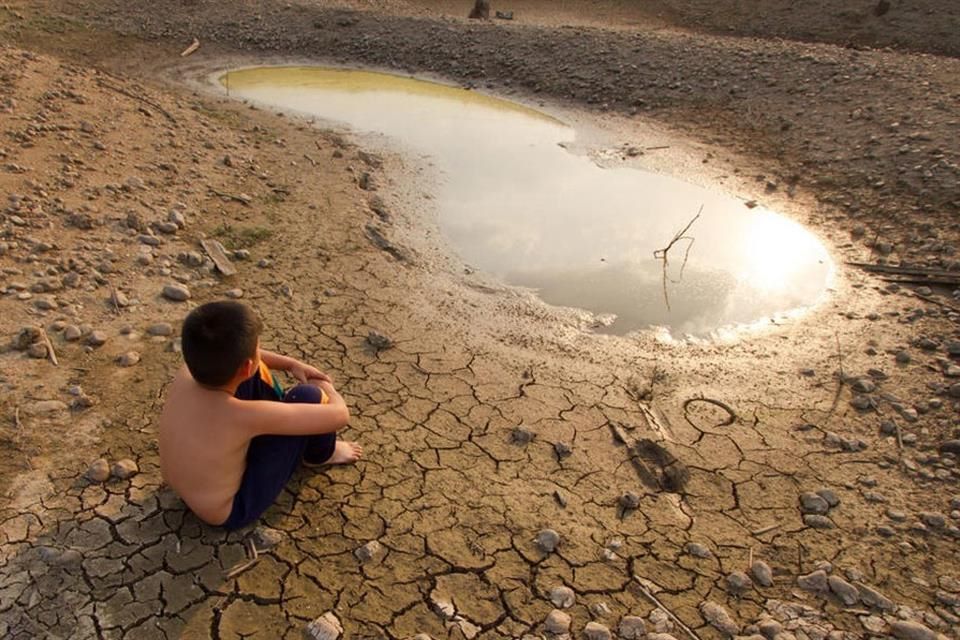 En riesgo, producción mundial de alimentos por crisis hídrica