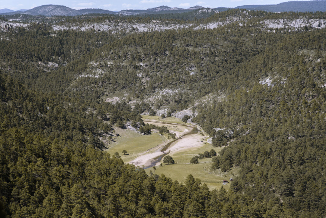 Se restituirán tierras a pueblo rarámuri