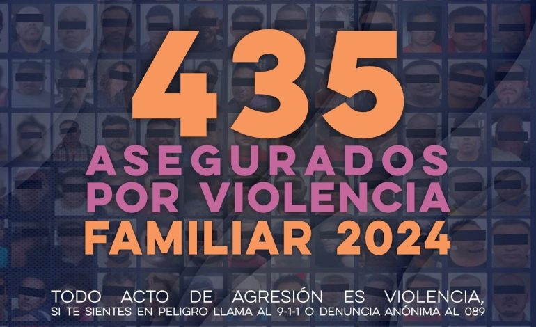 Oficial: ¡435 casos de violencia familiar en el 2024!