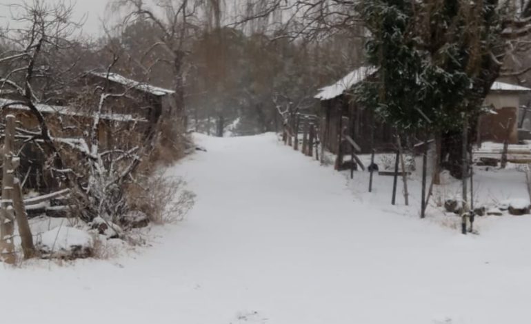 ¡Sonora recibe su primera nevada de la temporada!