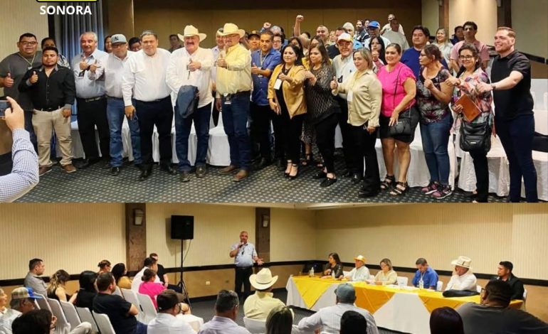 Toma de protesta del nuevo Consejo Estatal del PRD Sonora.