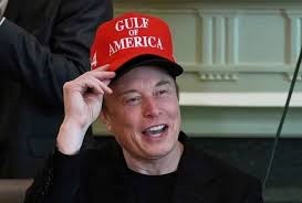 Anuncia Elon Musk formación del “Partido de América”