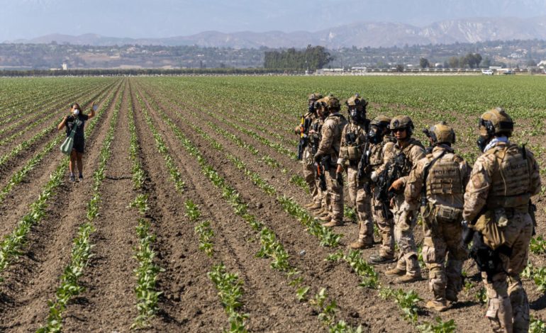 Muere trabajador agrícola mexicano tras redadas en California…