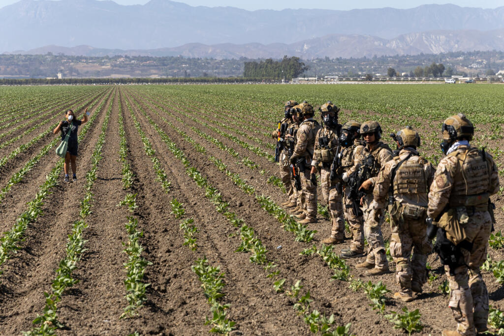 Muere trabajador agrícola mexicano tras redadas en California…