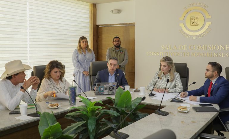 Comisión de Hacienda aprueba que ayuntamientos contraten créditos para fortalecer la infraestructura municipal