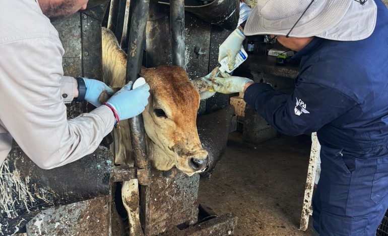 SADER y Julio Berdegué atienden caso aislado de gusano barrenador en Nuevo León