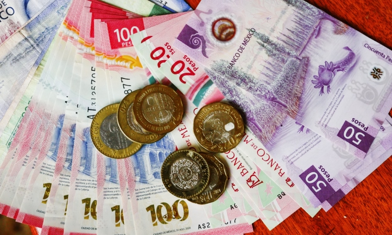 Acción Ciudadana Frente a la Pobreza urge incrementar el salario mínimo a 16 %