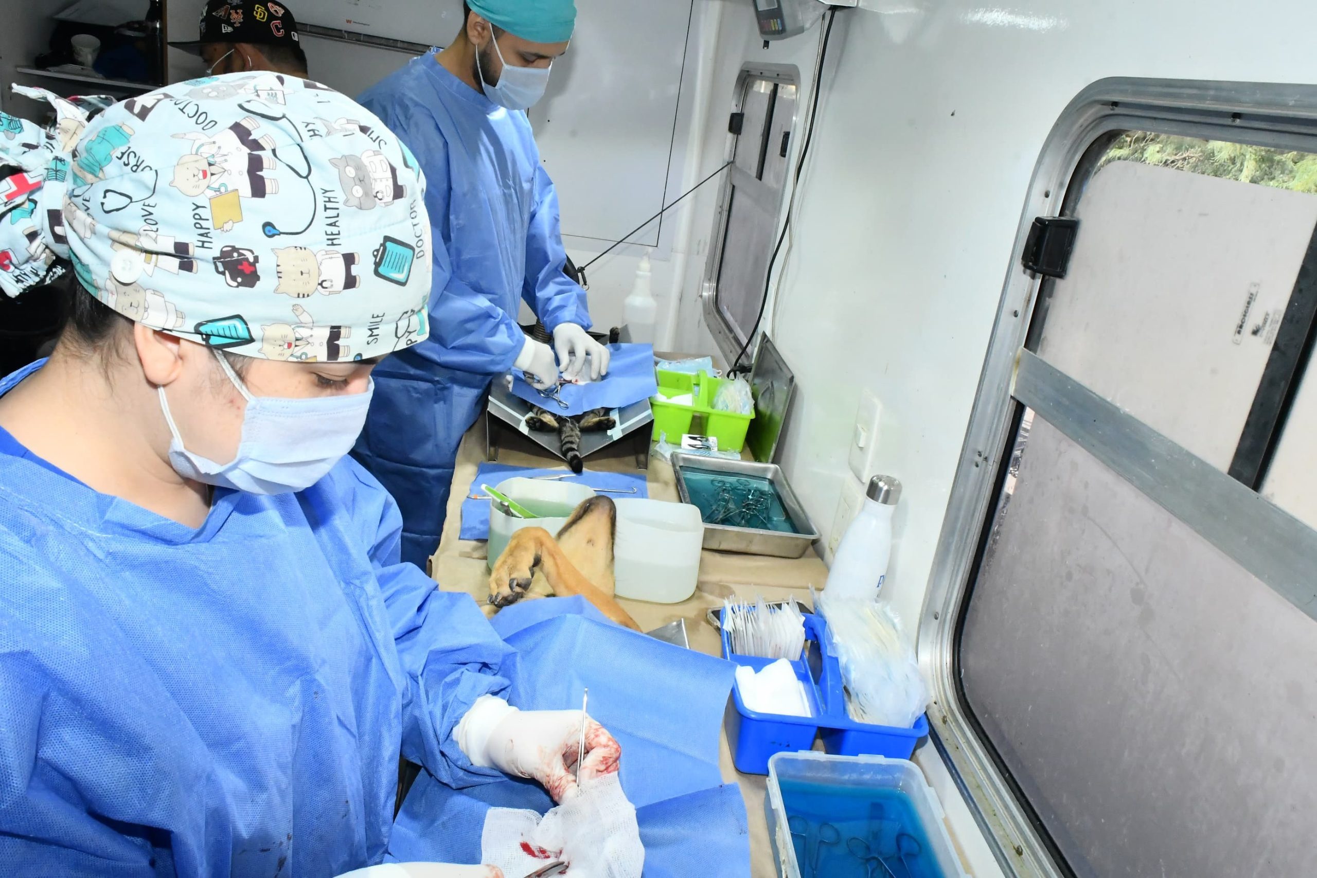 Reconoce Instituto Municipal de Protección y Bienestar Animal a rescatistas…