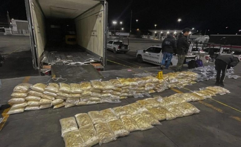 Crimen organizado y capitalismo