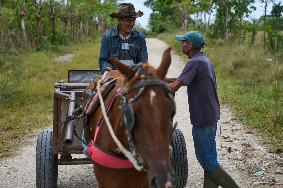 Bloqueo energético de EU asfixia al campo cubano; alertan por grave crisis alimentaria