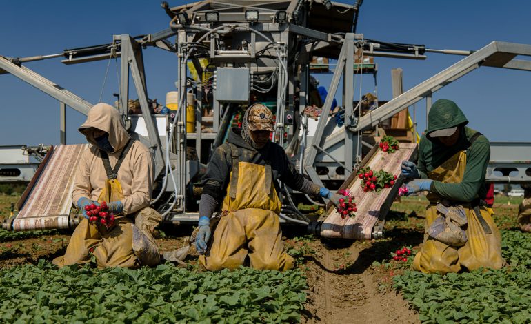 Migrantes mexicanos en Estados Unidos equivalen a la octava economía mundial