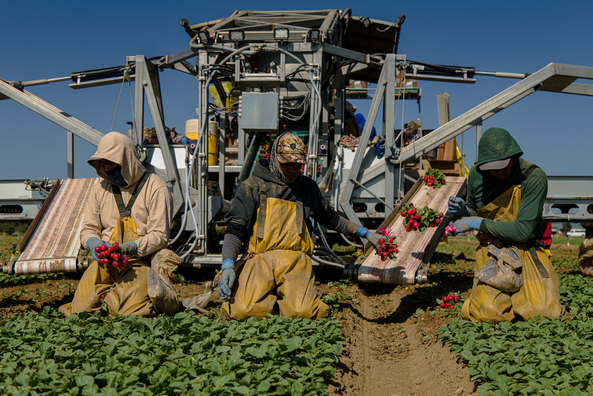 Migrantes mexicanos en Estados Unidos equivalen a la octava economía mundial