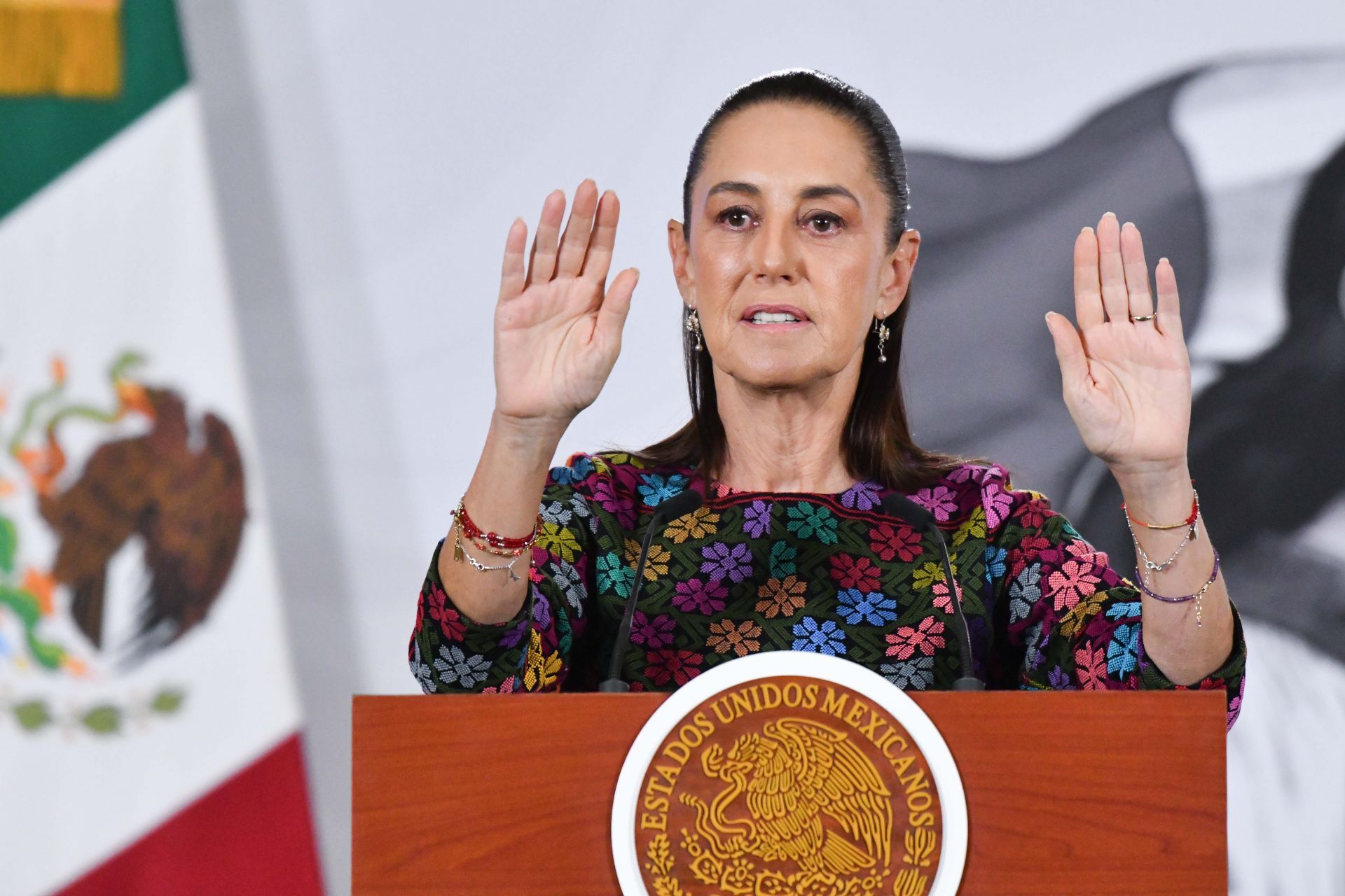 Sheinbaum anuncia medidas jurídicas por la muerte de otro mexicano a manos del ICE
