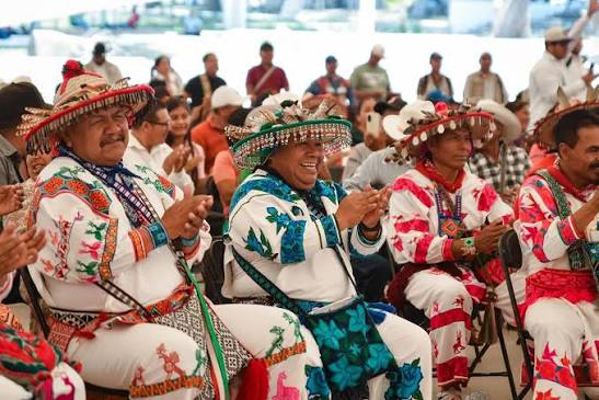 Nación y pueblos indígenas