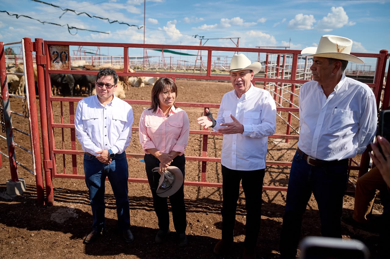 Sonora reactiva exportación de ganado a EU; gestiones de Sheinbaum y Durazo abren la frontera