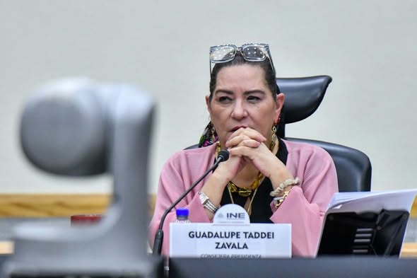 Guadalupe Taddei renuncia a la presidencia del INE